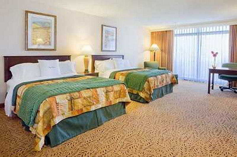 Hotel Doubletree By Hilton San José Habitación foto